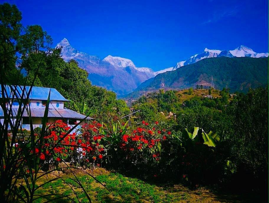 Aroma Tourist Hostel Pokhara Ngoại thất bức ảnh