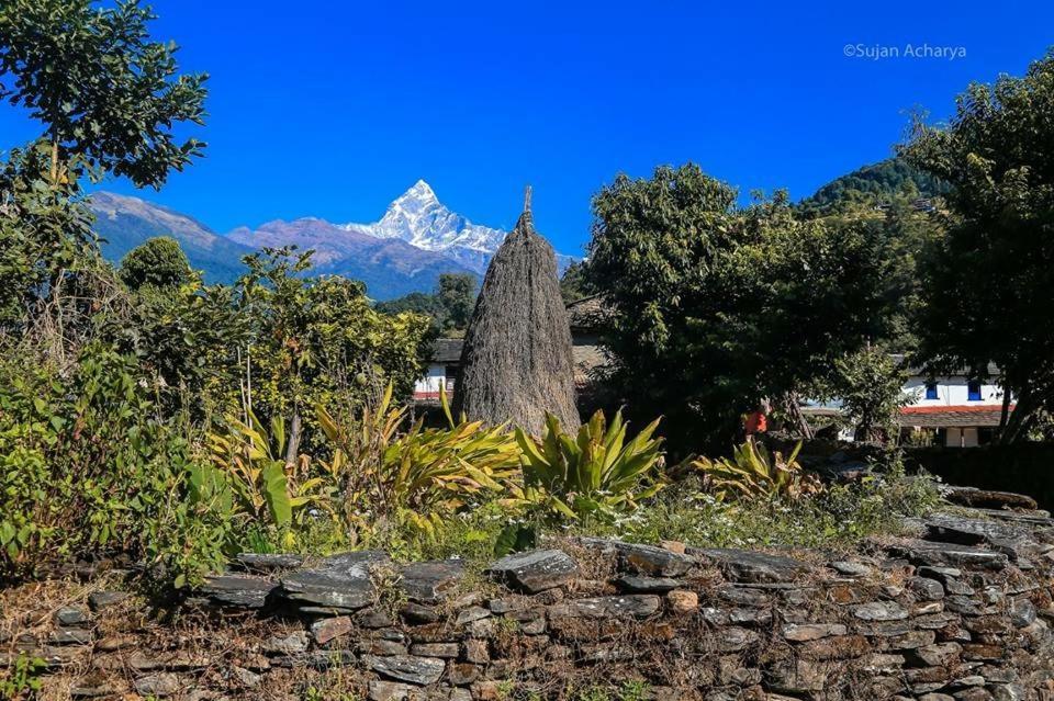 Aroma Tourist Hostel Pokhara Ngoại thất bức ảnh